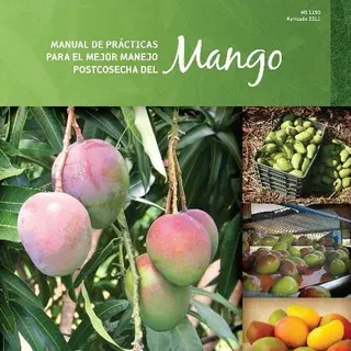 thumbnail for publication: Manual de Prácticas para el Mejor Manejo Postcosecha del Mango